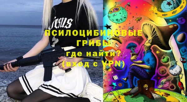 сатива Алзамай