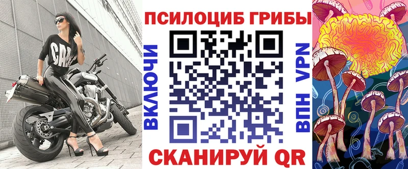 Галлюциногенные грибы GOLDEN TEACHER купить наркотики цена Нерехта